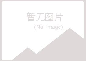 宁夏白山化学有限公司